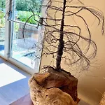 Terre Di Ginepro Alloggio per agriturismo